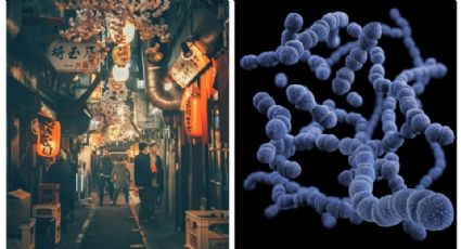 Bacteria carnivora causa preocupación a nivel mundial al propagarse ¿Nueva pandemia?