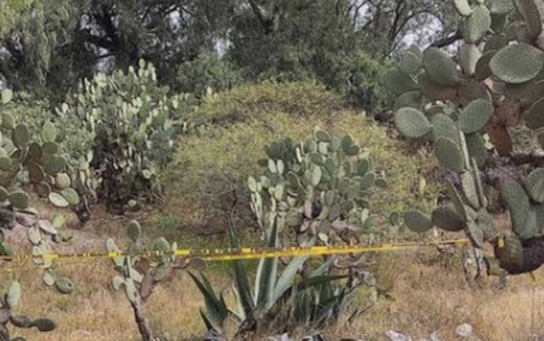 Cuerpo decapitado y abandonado