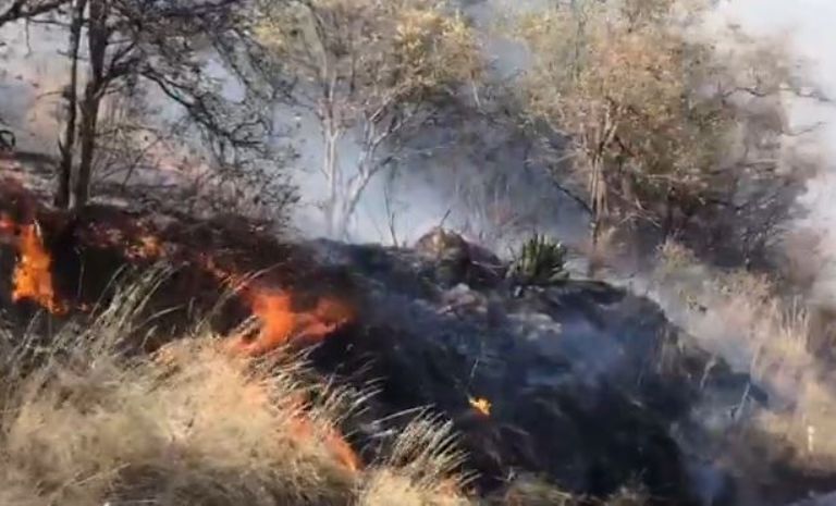 Incendio en San Francisco Chimalpa