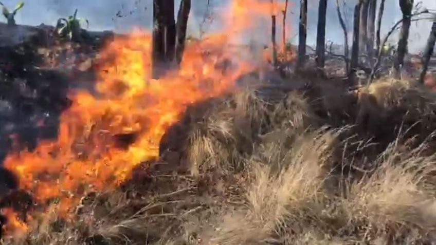VIDEO: Captan al sujeto que inició el incendio en San Francisco Chimalpa, en Naucalpan