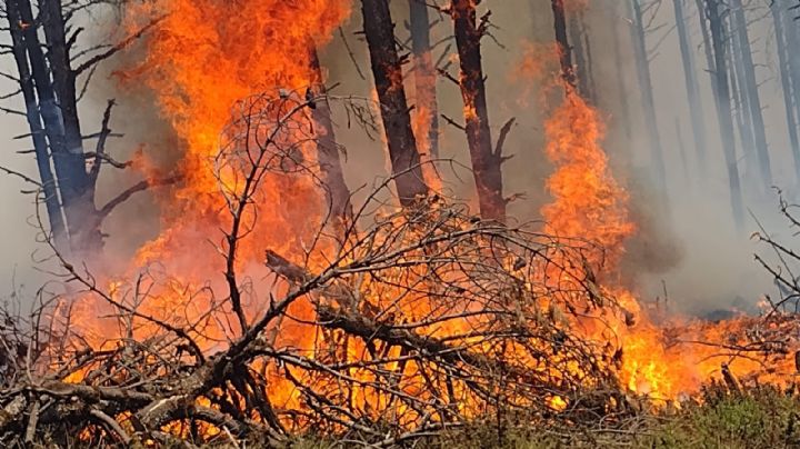 Incendio forestal en Jilotzingo aterra a la población; investigan si fue provocado
