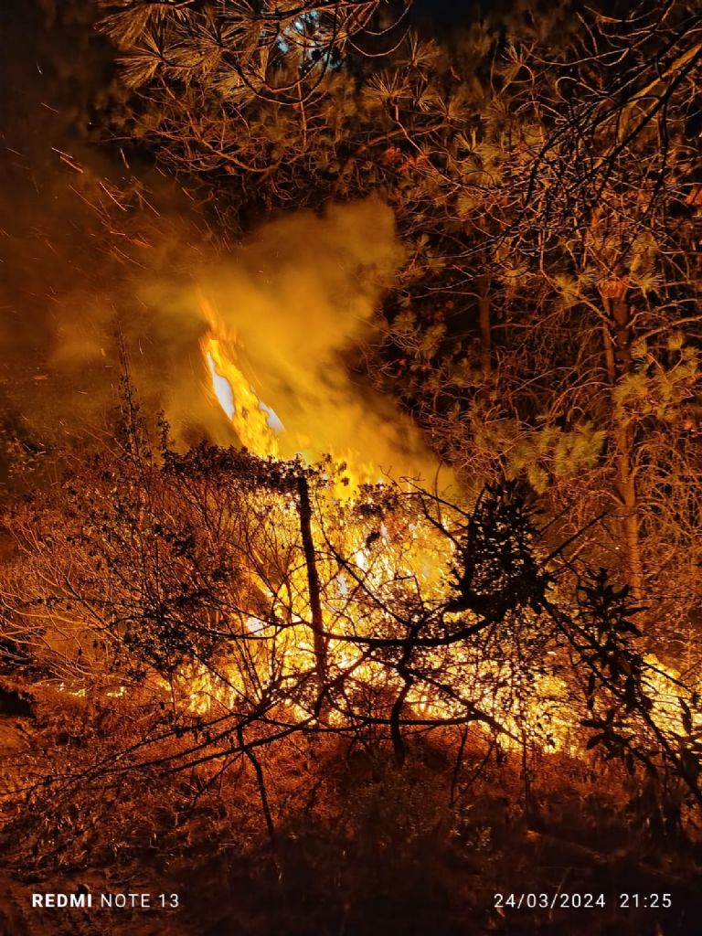 Incendio en Jilotzingo consume miles de hectáreas 