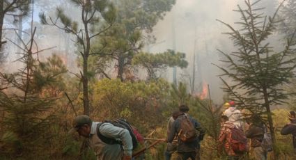 Reporta la reactivación del incendio en Jilotzingo, Estado de México; esta es la situación actual