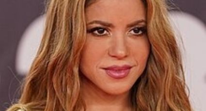 Shakira reúne a 40 mil personas en concierto de NY; luego se va a cenar con este actor