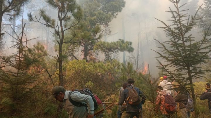 Reporta la reactivación del incendio en Jilotzingo, Estado de México; esta es la situación actual