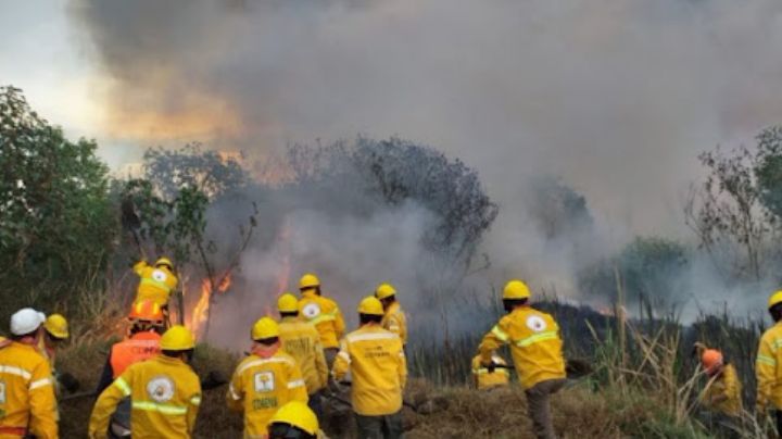 ¡Protege tu salud! Medidas para evitar los efectos del humo de los incendios forestales