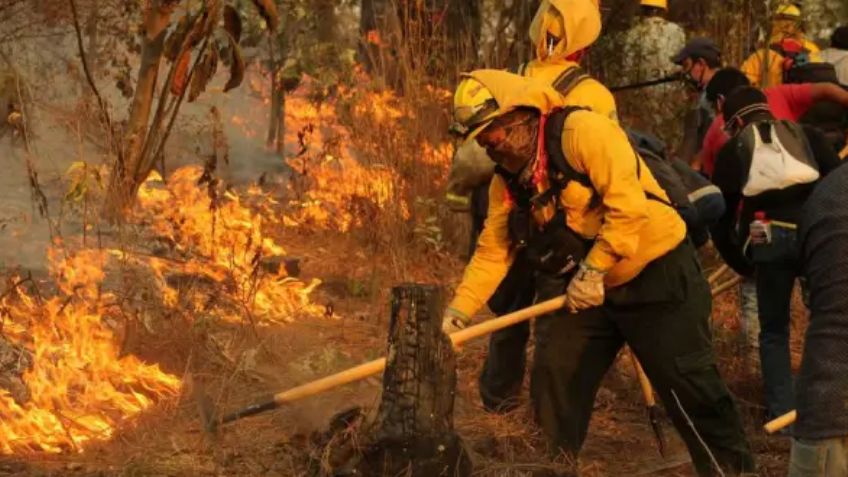 Confirman muerte de brigadista por incendio forestal; suman 5 víctimas mortales