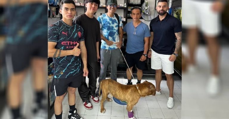 Piden ayuda para rescatar a un segundo perro abandonado en casa de la presunta asesina de Camila