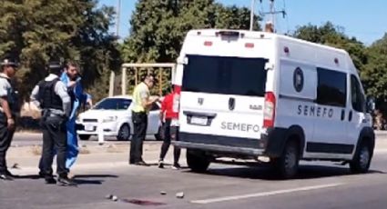 Muere hombre atropellado en la salida norte de Ciudad Obregón; el responsable escapó