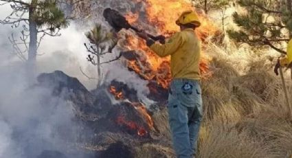 Incendio en el Nevado de Toluca convierte en cenizas 187 hectáreas; autoridades lo apagan