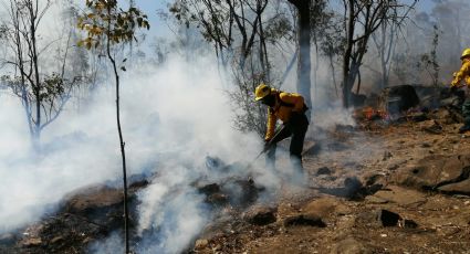 El Estado de México se enfrenta a 6 incendios forestales; miles de hectáreas calcinadas
