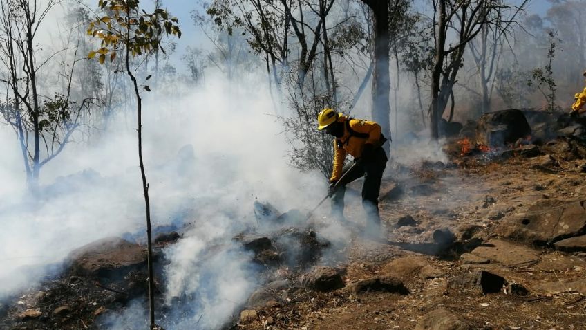 El Estado de México se enfrenta a 6 incendios forestales; miles de hectáreas calcinadas