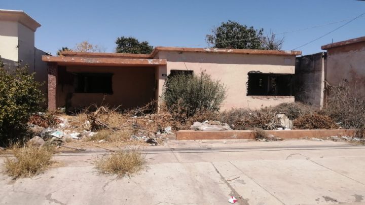 Casas abandonadas en Navojoa, un foco de infección para la ciudadanía