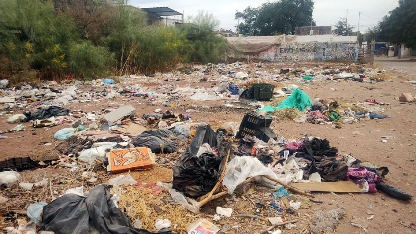 Ciudad Obregón: Vecinos de la Sóstenes Valenzuela sufren por basureros clandestinos