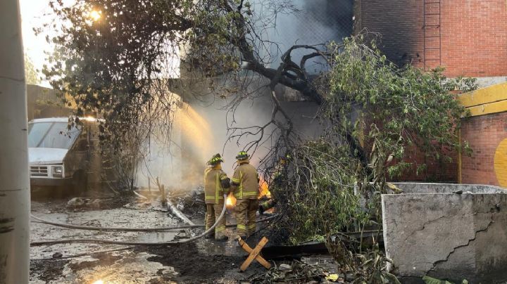 Emergencia en Coyoacán: Helicóptero se desploma y se especulan sobre dos muertes