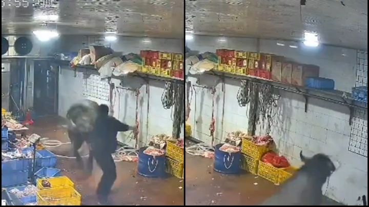 VIDEO: ¿Justicia vacuna? Vaca escapa de su muerte y ataca brutalmente a carniceros