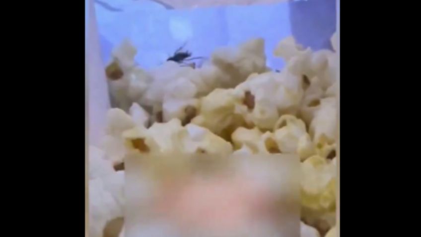Sirven palomitas con cucarachas en Estadio Cuauhtémoc; aficionado lo capta en VIDEO