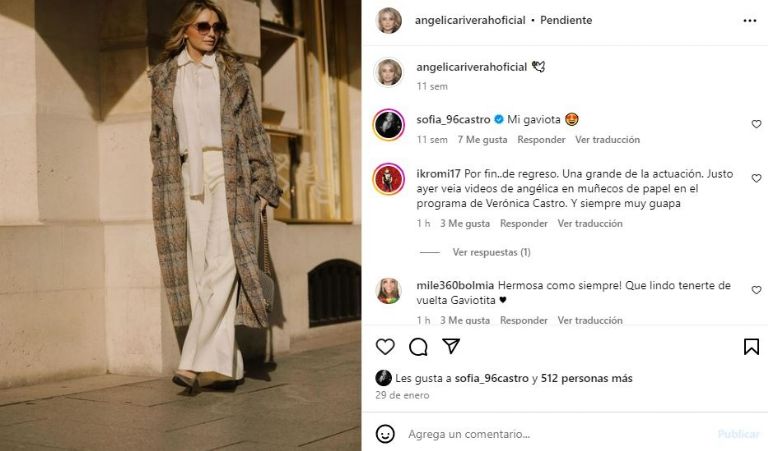 Angélica Rivera reaparece en Instagram