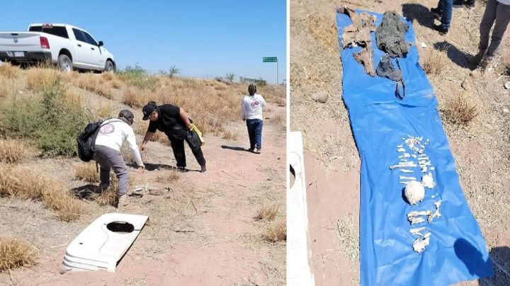 Colectivo de búsqueda encuentra restos humanos en la carretera Navojoa - Los Mochis