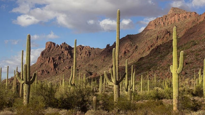 ¿Lloverá este fin de semana? Clima en Sonora del viernes 19 al domingo 21 de abril 2024