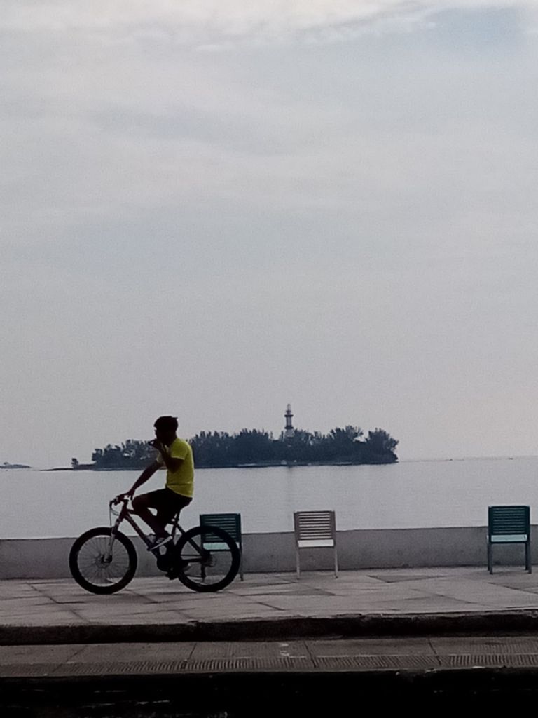 Día Mundial de la Bicicleta 2024 19 de abril