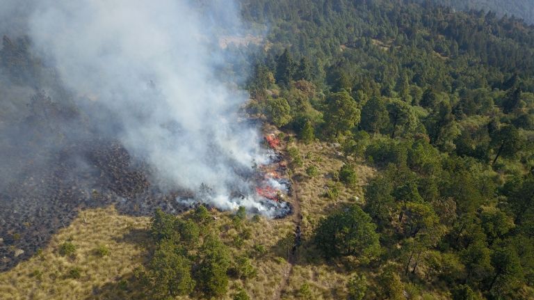 Incendios forestales en Edomex