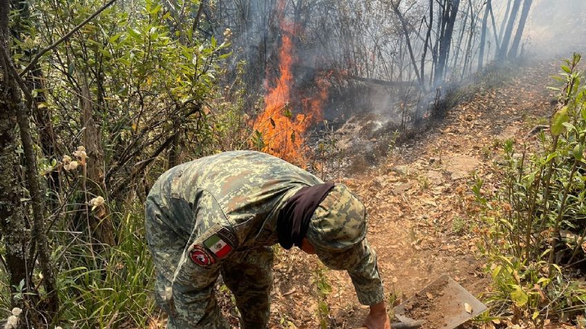 El Estado de México se vuelca contra incendios: despliegan helicópteros, drones y brigadas