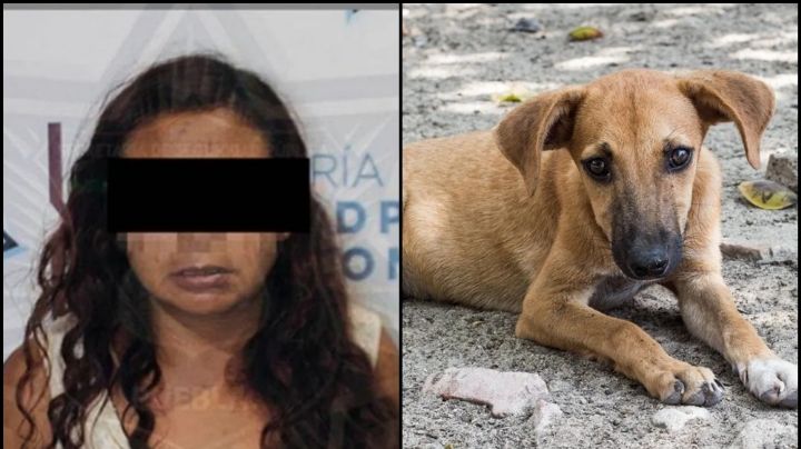 Se celebra audiencia de María Consuelo, mujer que vendía tacos de perro en iglesia poblana