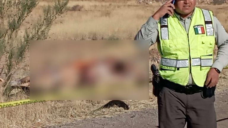 Localizan 13 cuerpos en Chiahuahua 