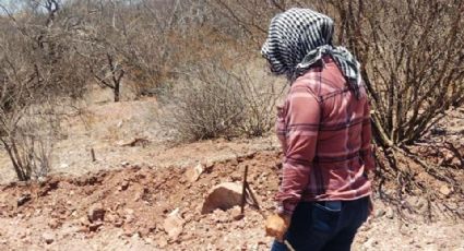 Colectivo de buscadoras reporta cuatro desapariciones durante abril en Guaymas y Empalme