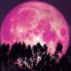 Luna Rosa de Abril 2024: Estos serán los signos zodiacales más afectados; Mhoni Vidente