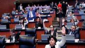 Foto ilustrativa de la nota titulada Última hora: En comisiones del Senado, aprueban la creación del Fondo de Pensiones del Bienestar