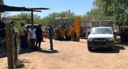 Fiscalía investiga hallazgo de animales muertos y otros heridos en rancho de Hermosillo