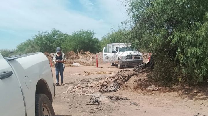 Sonora: Tras días desaparecidos, localizan a Gilberto y Juan Diego sin vida; los enterraron