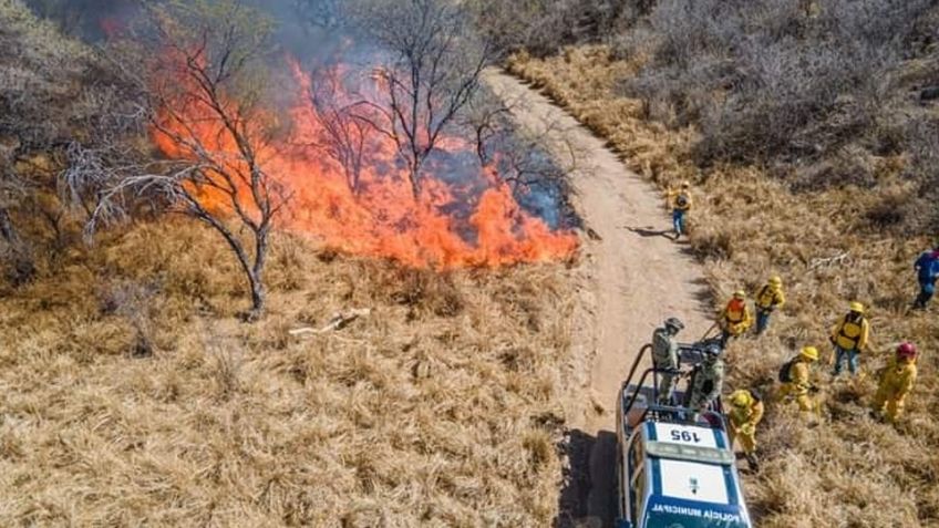 Incendios forestales aumentan en verano; se prepara Protección Civil de Guaymas 