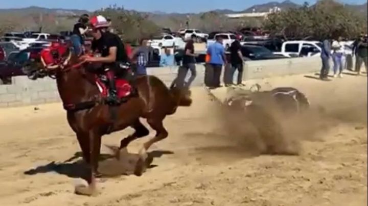 Tragedia en carrera clandestina: Caballos desbocados matan a 2 personas en Sinaloa
