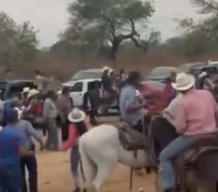 Tragedia en Carrera Clandestina: Caballos Desbocados Matan a Dos Personas en Sinaloa