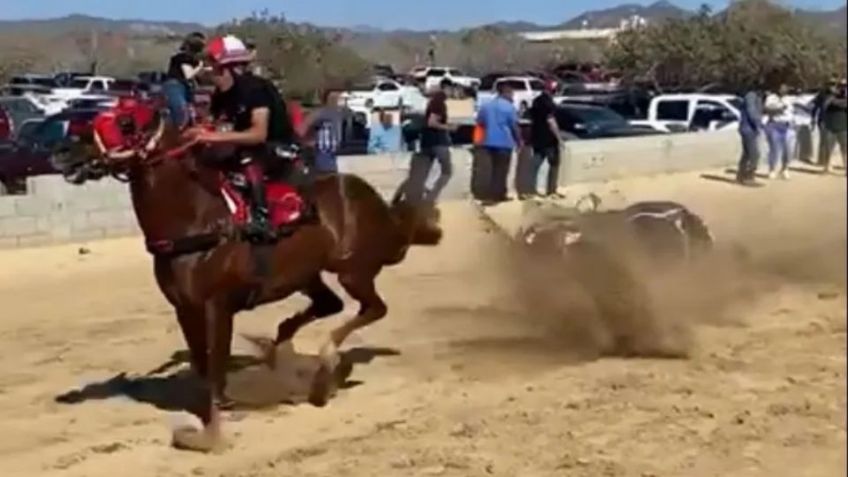 Tragedia en carrera clandestina: Caballos desbocados matan a 2 personas en Sinaloa