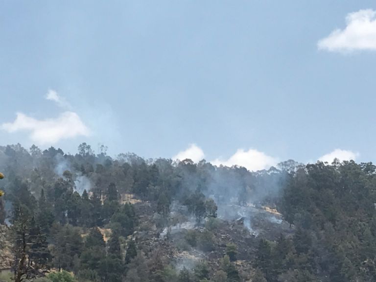 Incendio Forestal en Atlacomulco