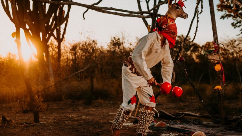 Día Internacional de la Danza en México: Etnia yoreme lo celebra en el Sur de Sonora