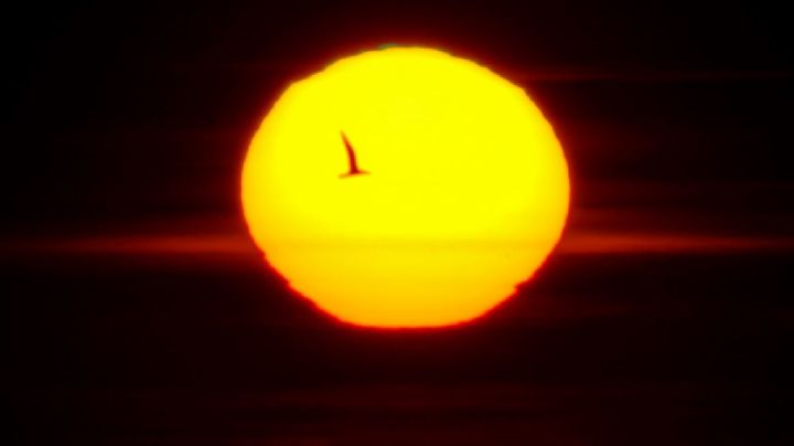 Eclipse Solar: Inicia distribución de lentes especiales en Sinaloa; se verá al 100%