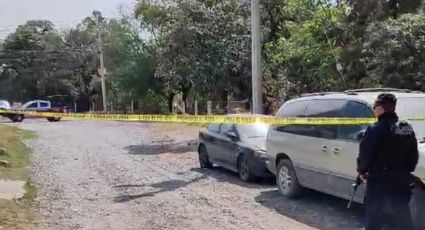 VIDEO: Vecinos de Puebla encuentran a perrito con cráneo humano; desprendía olor fétido