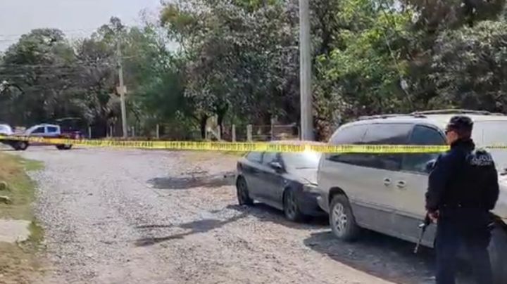 VIDEO: Vecinos de Puebla encuentran a perrito con cráneo humano; desprendía olor fétido