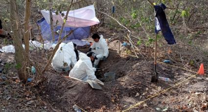 Hallan 10 de cuerpos en distintas fosas de Tecomán, Colima; siguen las investigaciones