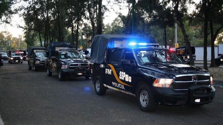 Maltrato animal en CDMX: Tras operativo rescatan a 17 perritos en predio de Iztacalco