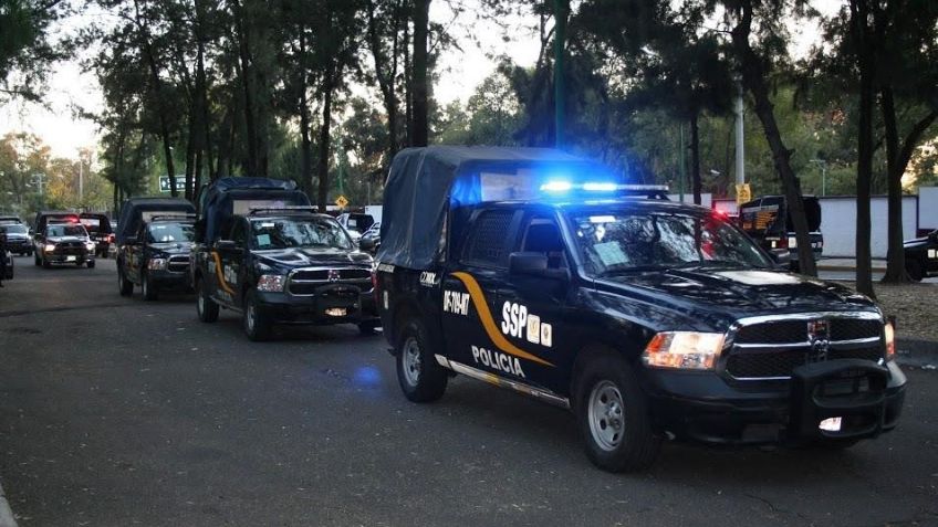 Maltrato animal en CDMX: Tras operativo rescatan a 17 perritos en predio de Iztacalco