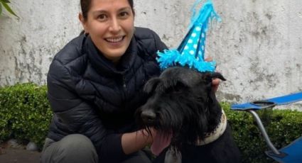 ¡Final feliz! Familia se reencuentra con 'Rocky' tras buscarlo por 40 días en Mazatlán