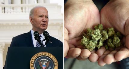 Gobierno de Joe Biden busca declarar la marihuana como droga poco peligrosa