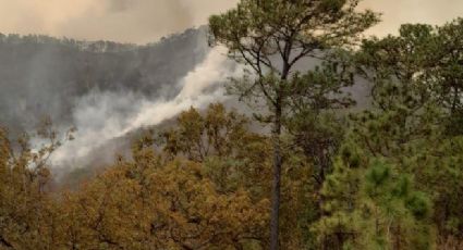 Incendios Forestales: El Estado de México combate otro siniestro en Temascaltepec