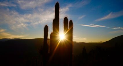 ¡Toma precauciones! Conagua pronostica calor y tolvaneras en Sonora este fin de semana